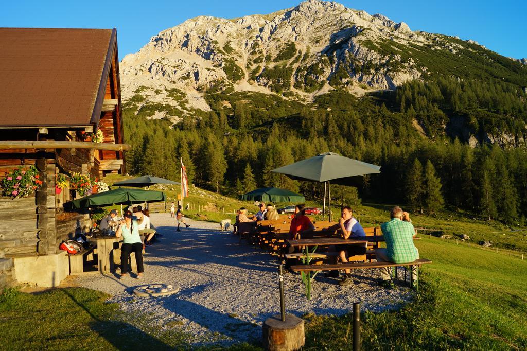 Appartement Resort Hanneshof Filzmoos Zewnętrze zdjęcie